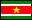 Suriname Flag